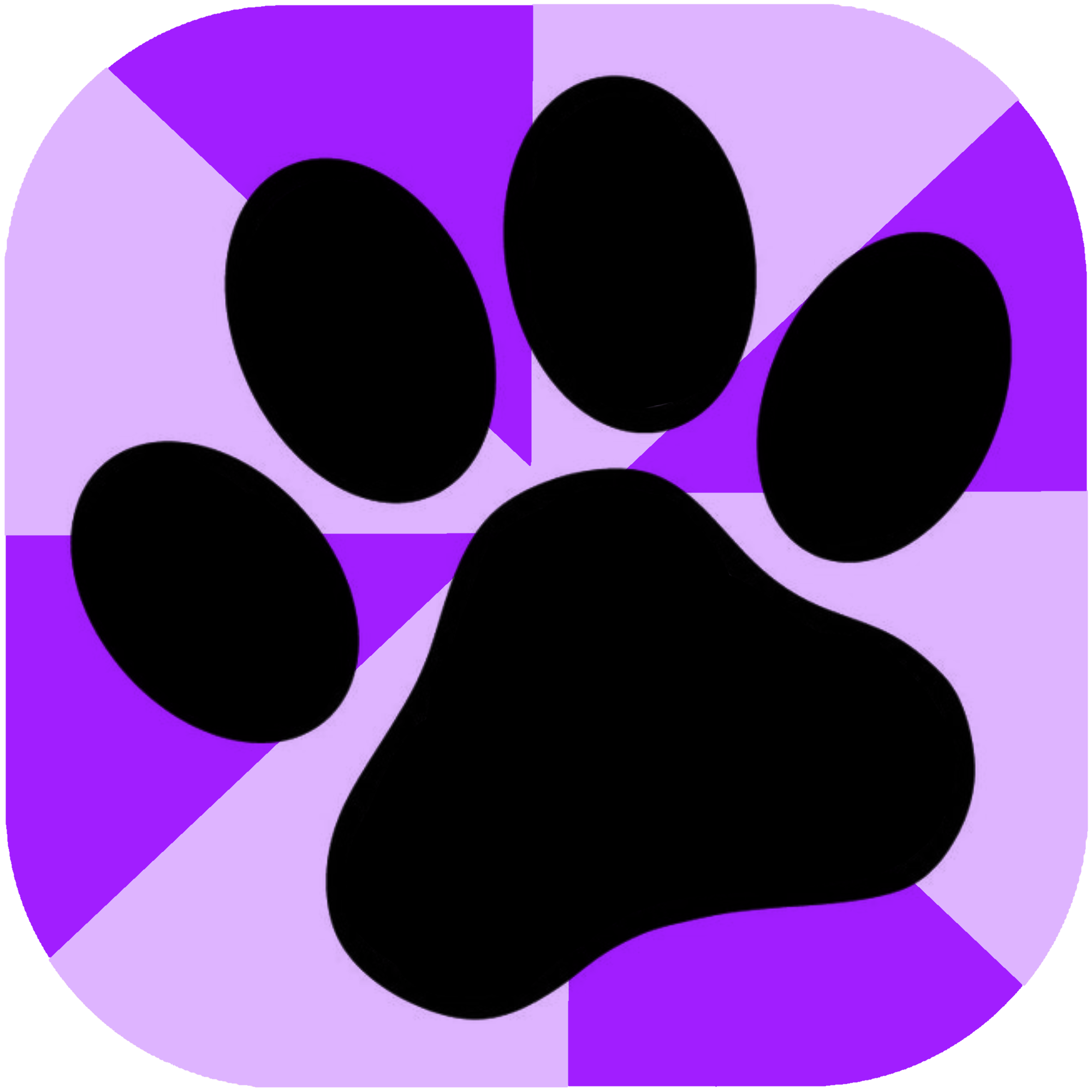 Furio Logo